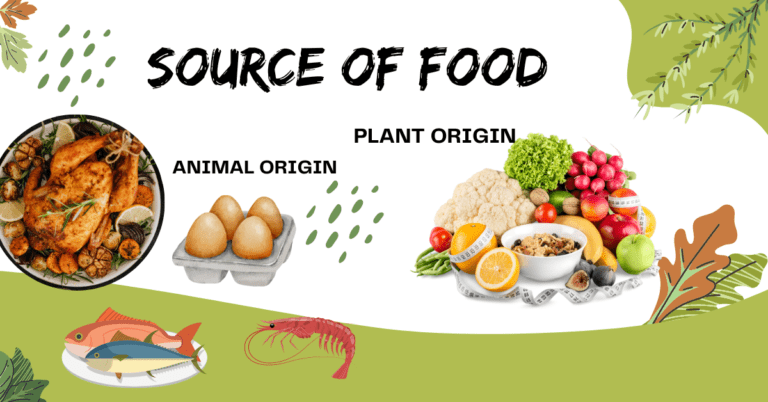 Source of Food