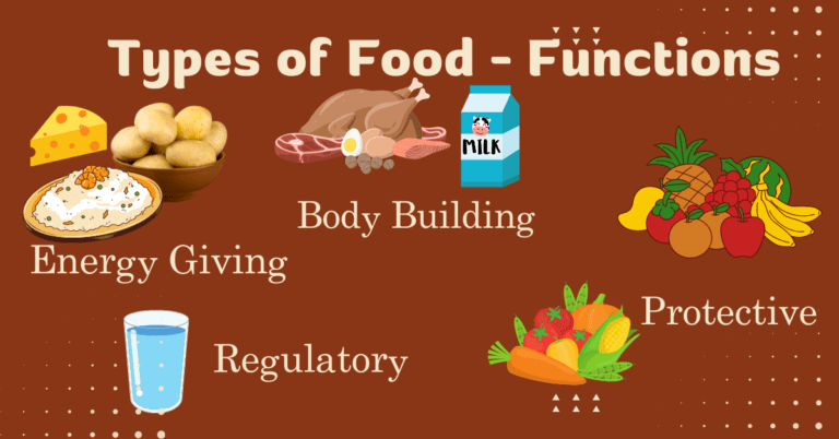 Food by function