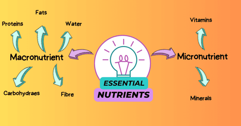 7 essential nutrients