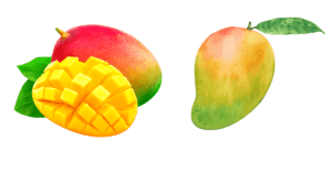 Mango energetic fruit